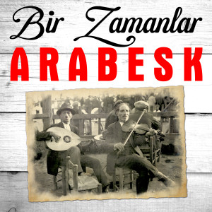 Listen to Kul Hatasız Olmaz song with lyrics from Şükran Ay