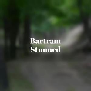 Listen to Bum Approach song with lyrics from Roone Alci