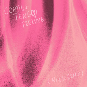 Album Contigo Tengo Feeling (Niilas Remix) from Astrid S