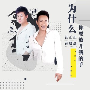 Dengarkan 为什么你要放开我的手 lagu dari 汪正正 dengan lirik