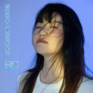 Listen to 后来很多人像你但不是你 (完整版) song with lyrics from 芫源