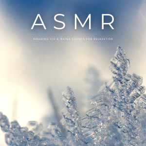 ดาวน์โหลดและฟังเพลง ASMR & Relax พร้อมเนื้อเพลงจาก ASMR Rain Sounds
