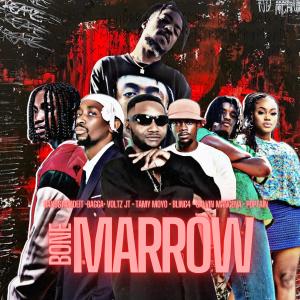 收聽Gangstamadeit的Bone Marrow (feat. Bagga, Voltz Jt, Bling4, Tamy Moyo, Calvin Mangena & Poptain)歌詞歌曲