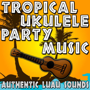 ดาวน์โหลดและฟังเพลง Key To My Heart (Ukulele Version) พร้อมเนื้อเพลงจาก Hawaiian Music Unlimited