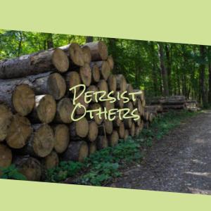 Album Persist Others from 