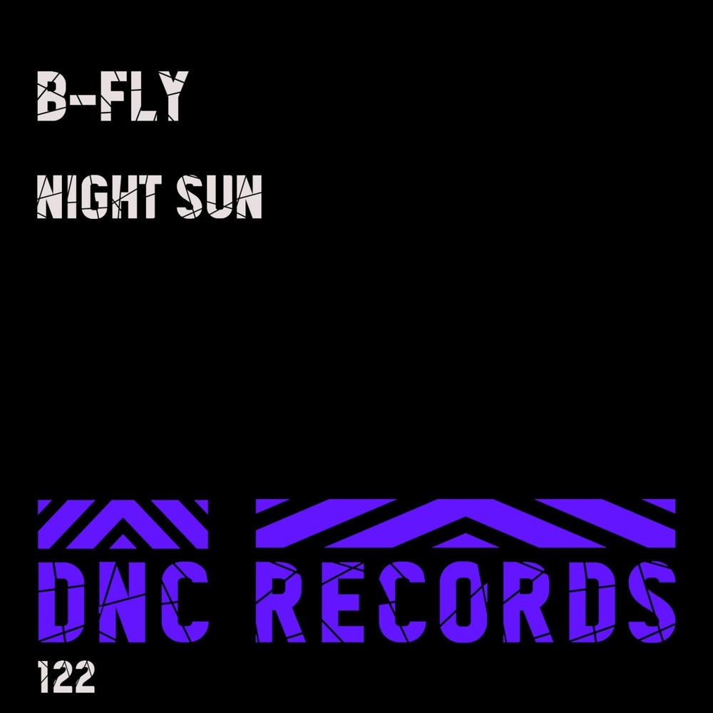 Night Sun (DJ Panda Rework)