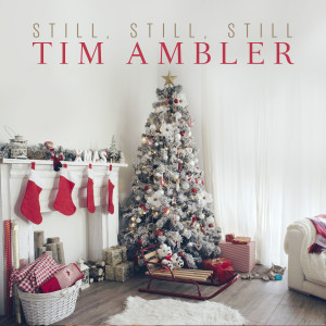 Album Still, Still, Still from Tim Ambler