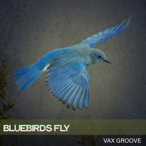 Album Bluebirds Fly from Vax Groove