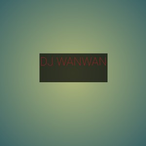 Varioust Artist的专辑Dj Wanwan