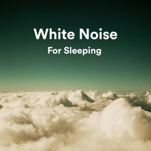 White Noise Sleep Music的专辑White Noise Sleep Music (Loopable - No Fade)