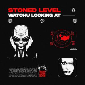 STONED LEVEL的專輯Watchu Looking At (Explicit)