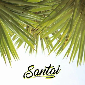 Album Santai from Tikusruk