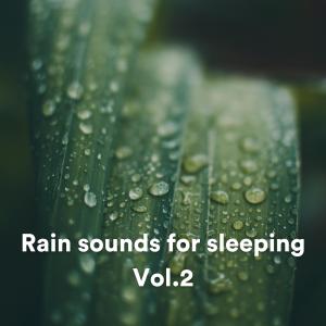 Album Rain sounds for sleeping, Vol. 2 oleh Relaxing Rain Sounds