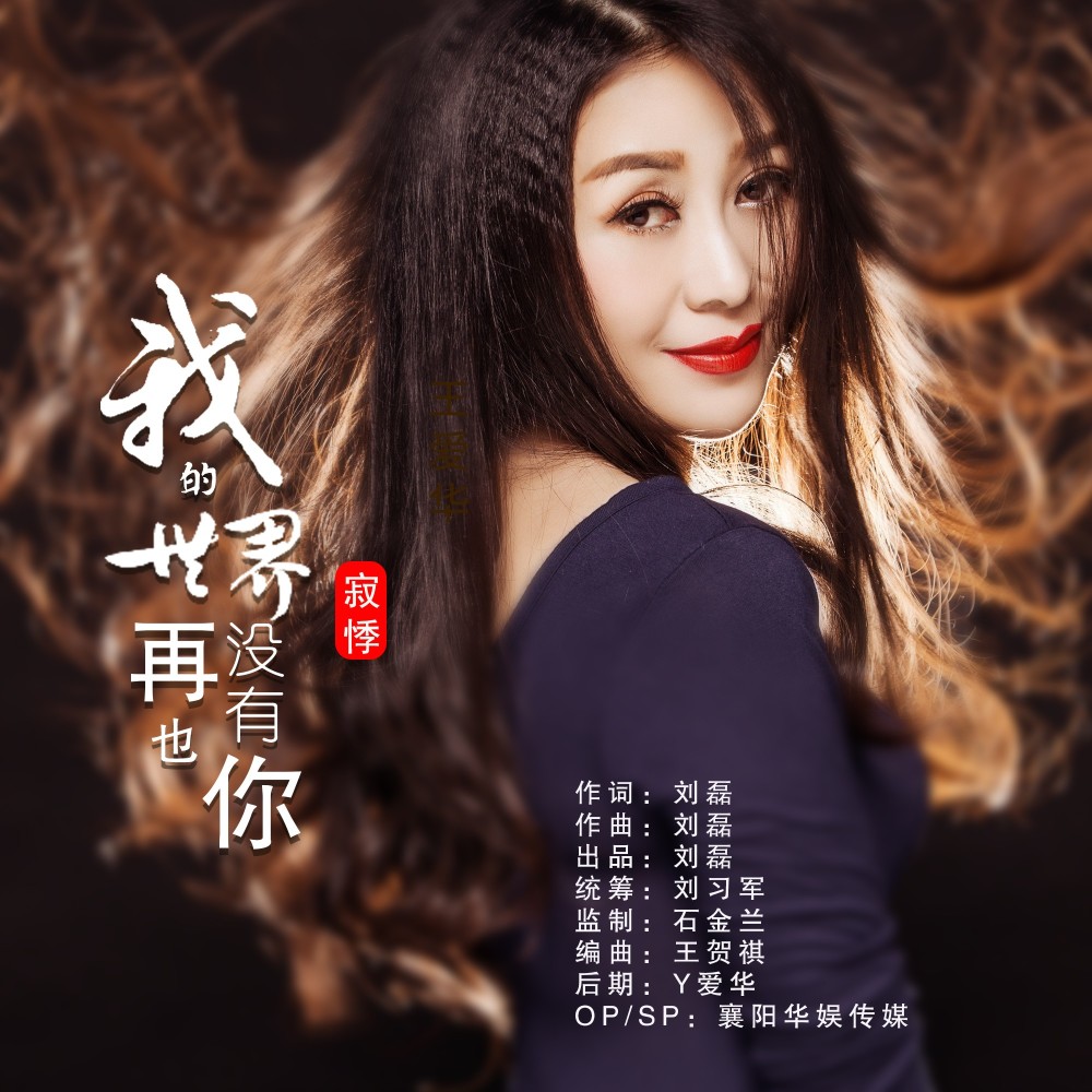 我的世界再也没有你（DJ默涵版） (完整版)