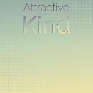 Various Artists的專輯Attractive Kind