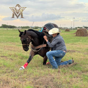 收聽Mario Villarreal的Nomas por bufon歌詞歌曲