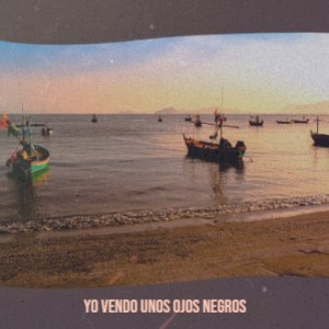 Listen to Mi Luna Roja song with lyrics from Los Huaracheros