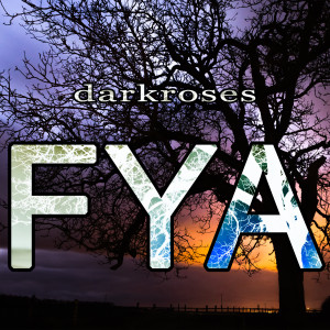 Listen to Fya (Explicit) song with lyrics from DarkRoses