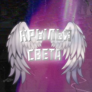 Listen to Крылья света song with lyrics from Shinuaki