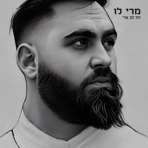 收聽דוד לב ארי的מרי לו (קאבר)歌詞歌曲