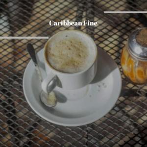 Album Caribbean Fine from Various
