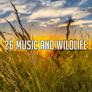 Life Sounds Nature的專輯26 Music And Wildlife