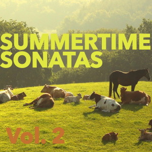 ดาวน์โหลดและฟังเพลง Sonata in G major พร้อมเนื้อเพลงจาก Sunshine Classical Orchestra