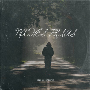 Listen to Noches Frias song with lyrics from BM