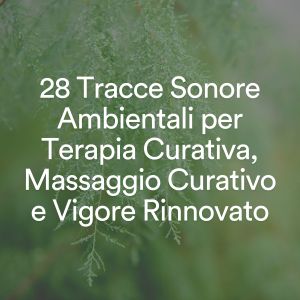 Album 28 Tracce Sonore Ambientali per Terapia Curativa, Massaggio Curativo e Vigore Rinnovato oleh Musicoterapia