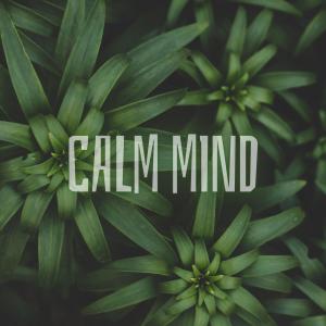 ดาวน์โหลดและฟังเพลง Power of Intent พร้อมเนื้อเพลงจาก Calm Mind