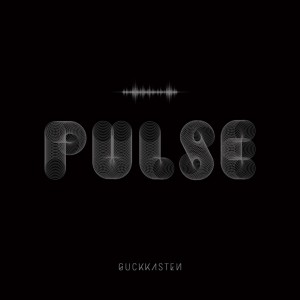 Album Pulse oleh Guckkasten