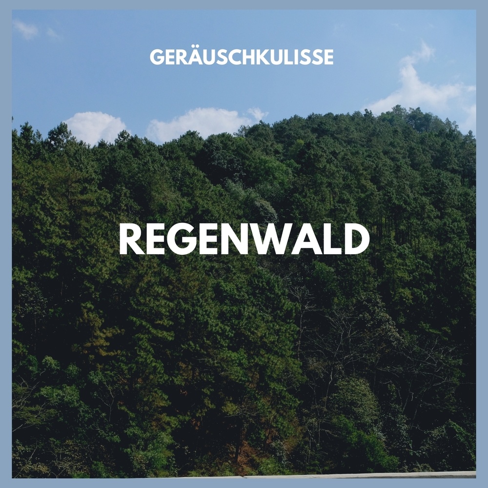 Geräuschkulisse: Regenwald (Teil 100)