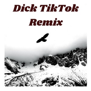 ดาวน์โหลดและฟังเพลง Dick TikTok Remix พร้อมเนื้อเพลงจาก Dj TikToker Viral