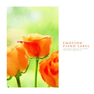 Album Emotional Piano Melody That Tickles My Ears from Korea Various Artists