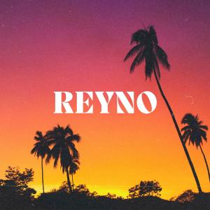 Listen to Friendly Turtle song with lyrics from Reyno