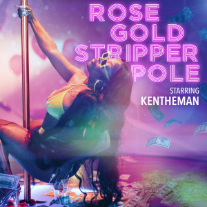 Album Rose Gold Stripper Pole from KenTheMan