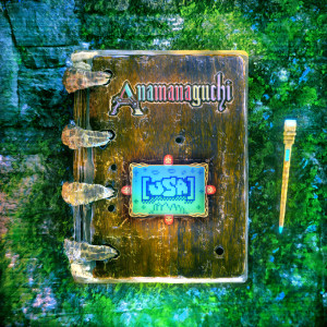 ดาวน์โหลดและฟังเพลง The C R T Woods พร้อมเนื้อเพลงจาก Anamanaguchi