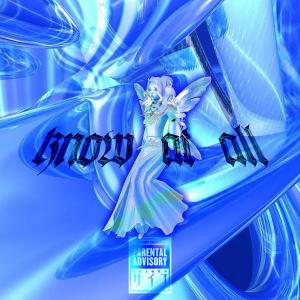 Album Know At All from Vrxn