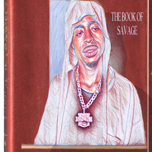 Album The Book of Savage (Explicit) from Damu 5avage