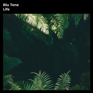 ดาวน์โหลดและฟังเพลง Life พร้อมเนื้อเพลงจาก Blu Tone