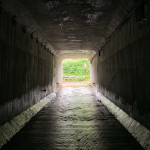 Listen to 당신이 있기에 song with lyrics from 한요한