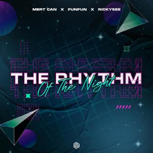 Album The Rhythm Of The Night oleh Mert Can