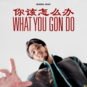 อัลบัม What You Gon Do 你该怎么办 ศิลปิน Shigga Shay