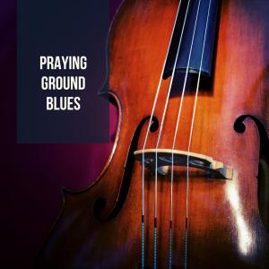 Listen to Disagreeable song with lyrics from Lightning Hopkins