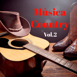 Varios Artistas的专辑Música Country Vol.2