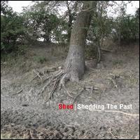 ดาวน์โหลดและฟังเพลง Another Wedged Chicken พร้อมเนื้อเพลงจาก shed