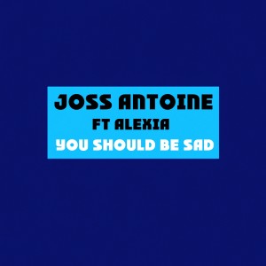 Listen to You Should Be Sad (Cover mix Halsey) song with lyrics from Joss Antoine