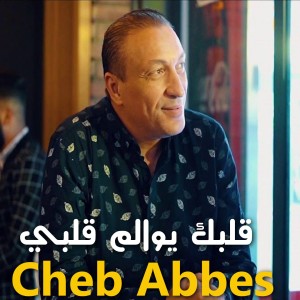 Listen to قلبك يوالم قلبي song with lyrics from Cheb Abbes