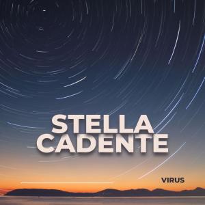 อัลบัม STELLA CADENTE (Explicit) ศิลปิน VIRUS