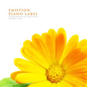 Album Sleeping Emotional Piano To Heal Physical And Mental Fatigue from Korea Various Artists
